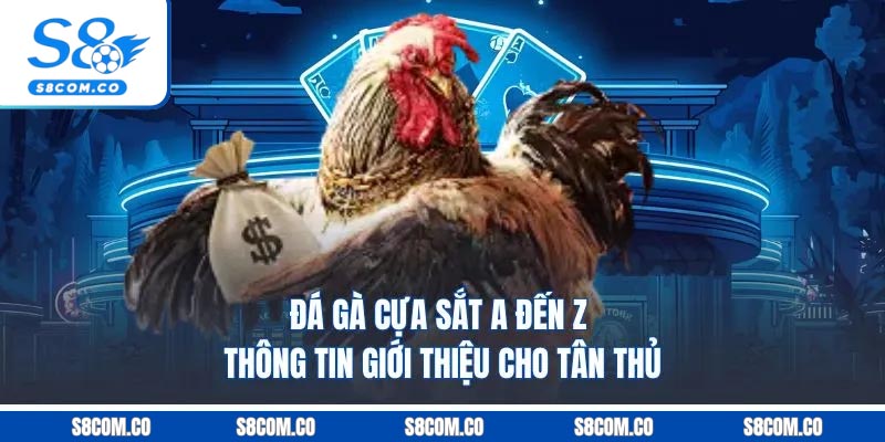 Đá Gà Cựa Sắt | A Đến Z Thông Tin Giới Thiệu Cho Tân Thủ