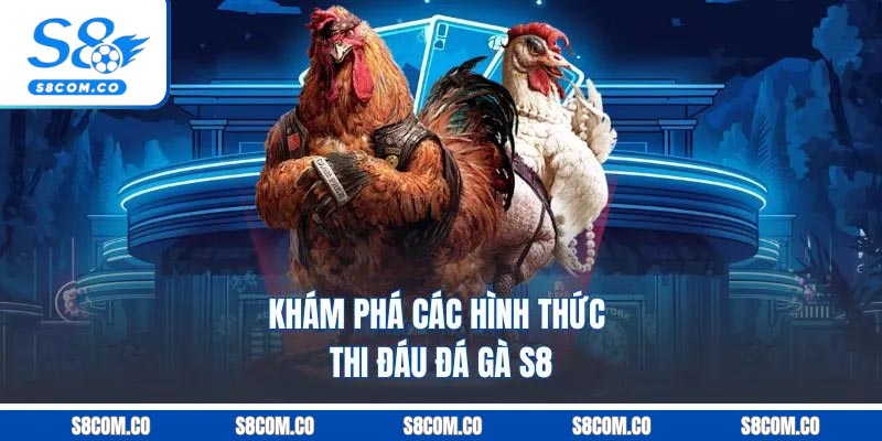 Khám phá các hình thức thi đáu đá gà S8