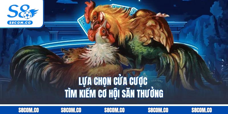 Lựa chọn cửa cược tìm kiếm cơ hội săn thưởng