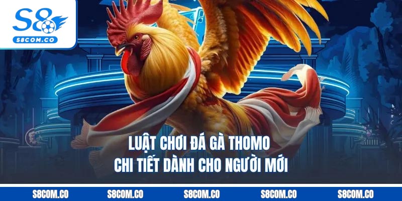 Luật chơi đá gà Thomo chi tiết dành cho người mới
