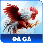 Đá gà S8